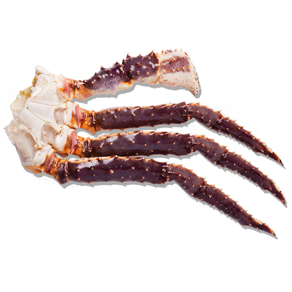 WILD RED KING CRAB