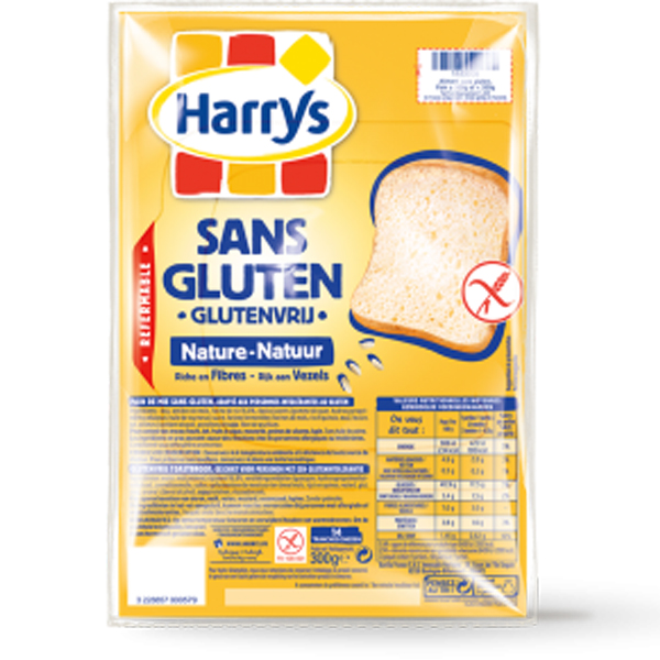 PAIN DE MIE NATURE SANS GLUTEN 300 G