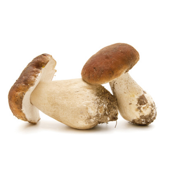 CEPES BOUCHONS IQF 1KG